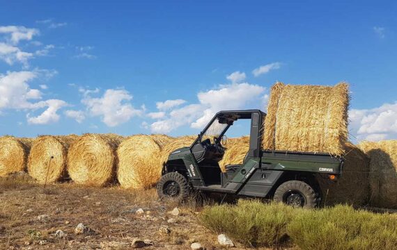 Inicio 1 ¿Cuál es el Buggy UTV diésel perfecto para tu explotación?