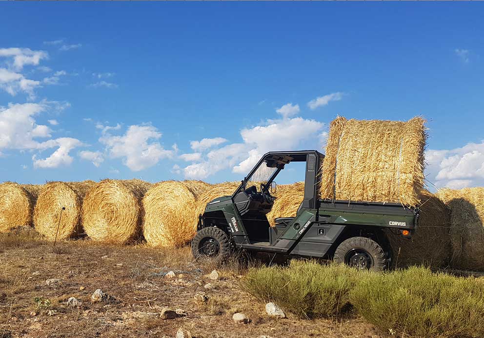 buggy-moviendo-alpacas Buggy UTV diésel