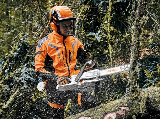 Fandos Market Teruel - suministro forestal