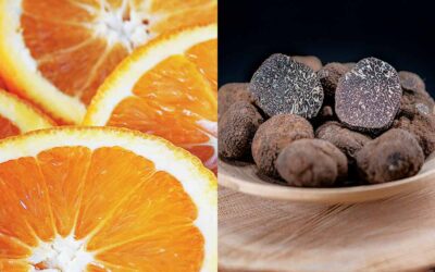 Alquiler de furgonetas para transportar naranjas o trufa: Frescura y seguridad en cada trayecto